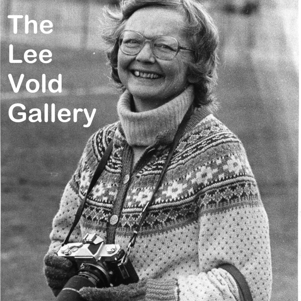 Lee Vold Gallery Link